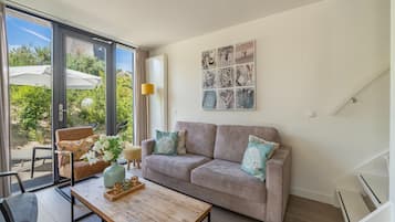 Télévision, cheminée, lecteur de DVD, chaßne hi-fi