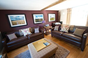 TV connectée, cheminée, jeux vidéo, lecteur de DVD