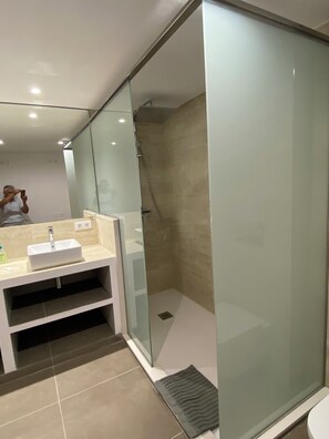 Combined shower/tub, hair dryer, bidet, towels