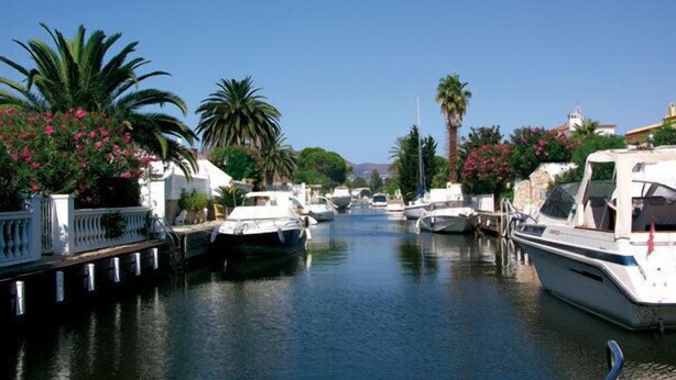 Un puerto deportivo con barcos amarrados, rodeado de palmeras y edificios.