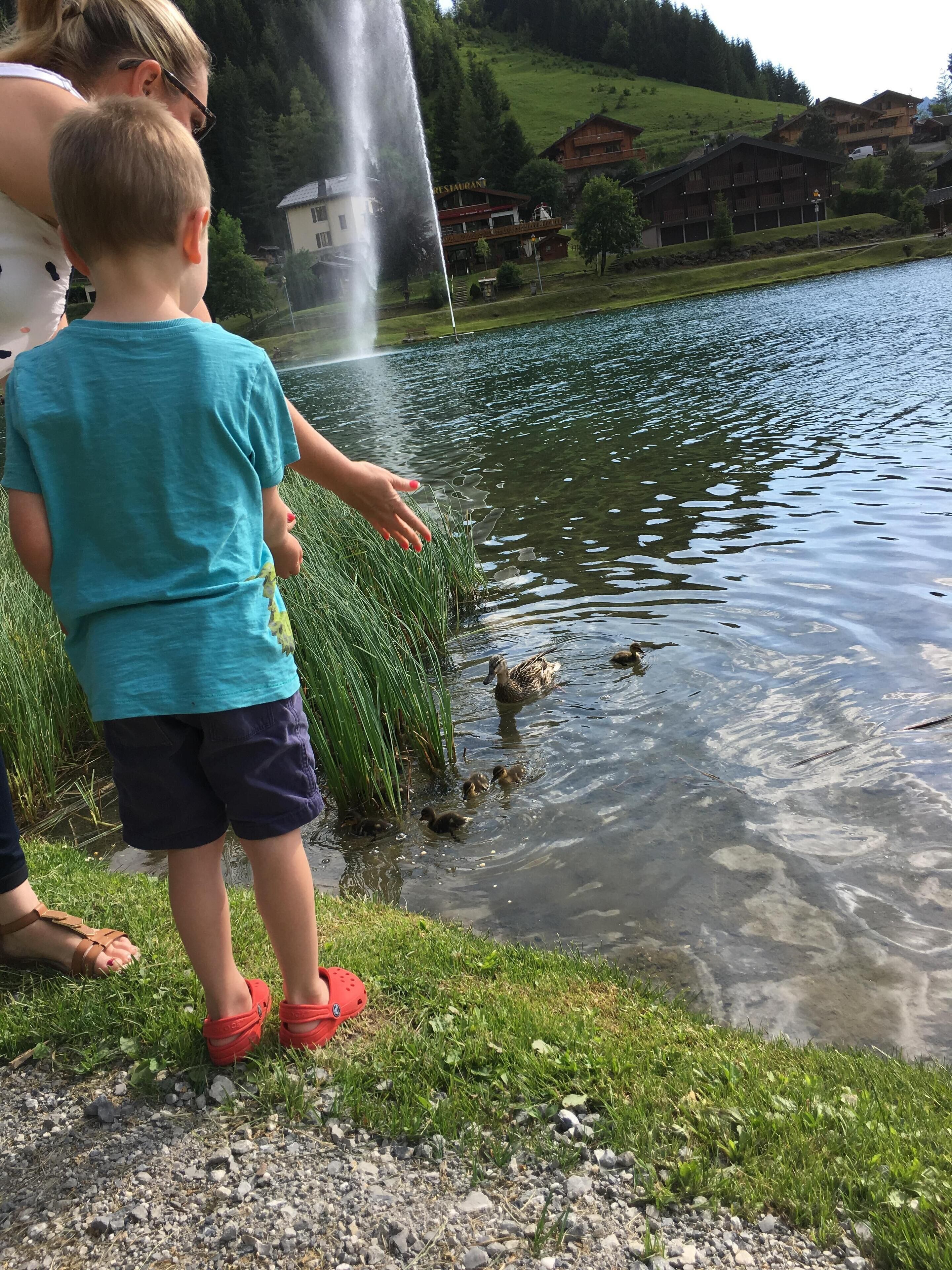 A lake with ducks and a fountain in the background.
