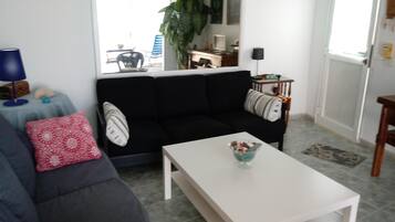 Télévision, lecteur de DVD, livres