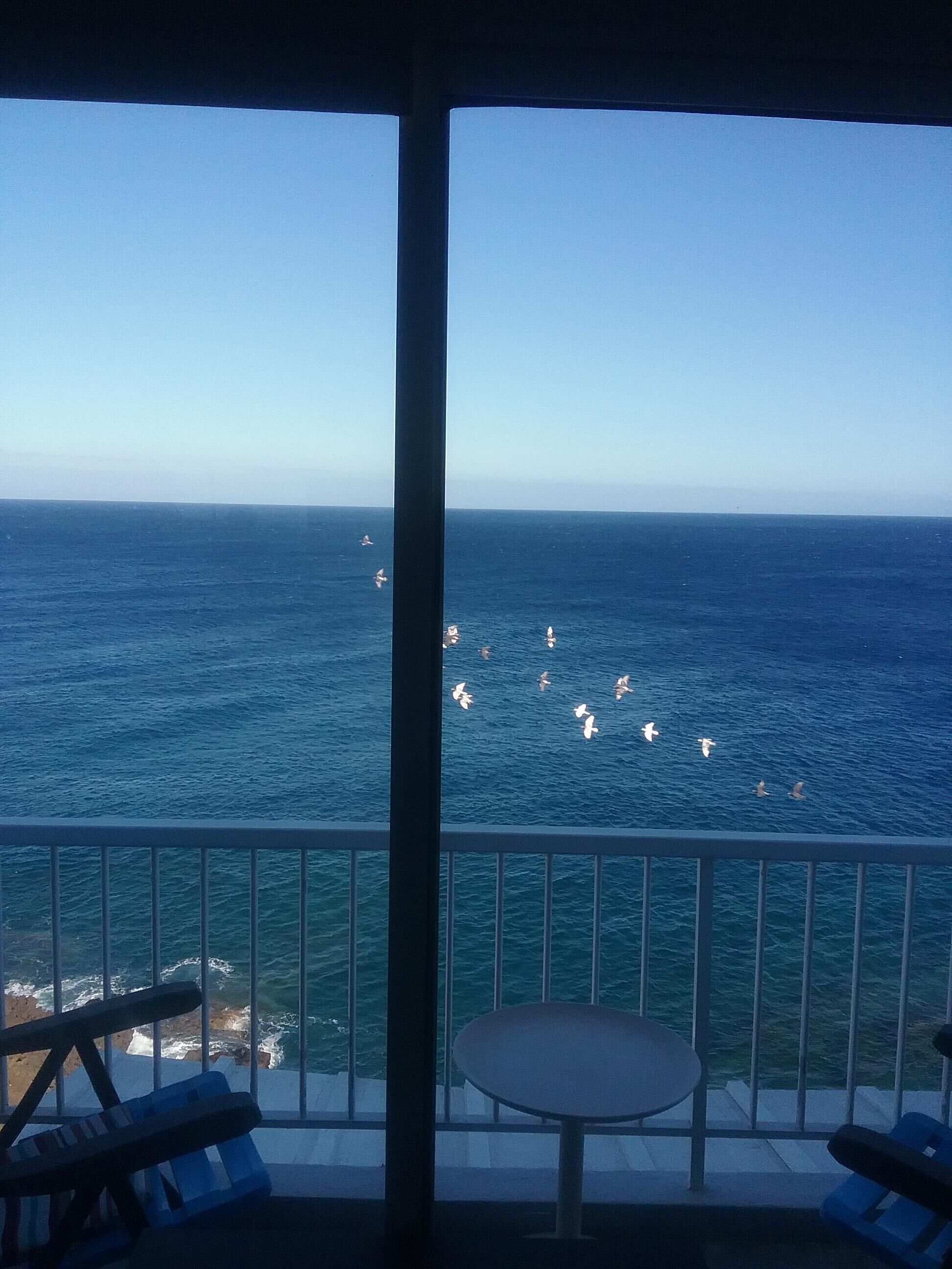 A balcony with a view of the ocean and birds flying over it.