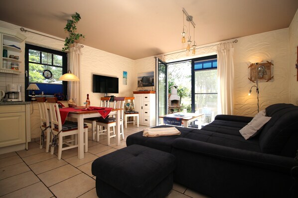 TV, fireplace, DVD player, books