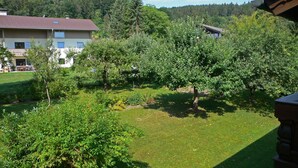 Un quartier résidentiel comprenant une maison, une pelouse bien entretenue et diverses espèces d’arbres.