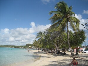 A beach with palm trees, clear water, and people relaxing. - 2 * Mahogany Cottage on the ground floor for 4 people (Sainte Anne)