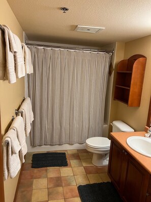 Combined shower/bathtub, hair dryer, towels, toilet paper