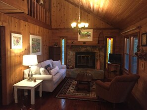 Smart TV, chimenea y reproductor de DVD 