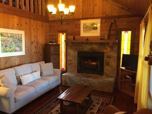 Smart TV, fireplace, DVD player