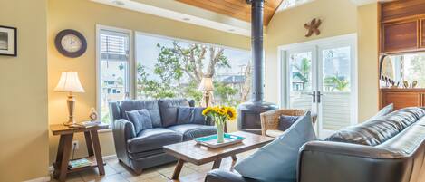 TV connectée, cheminée, lecteur de DVD