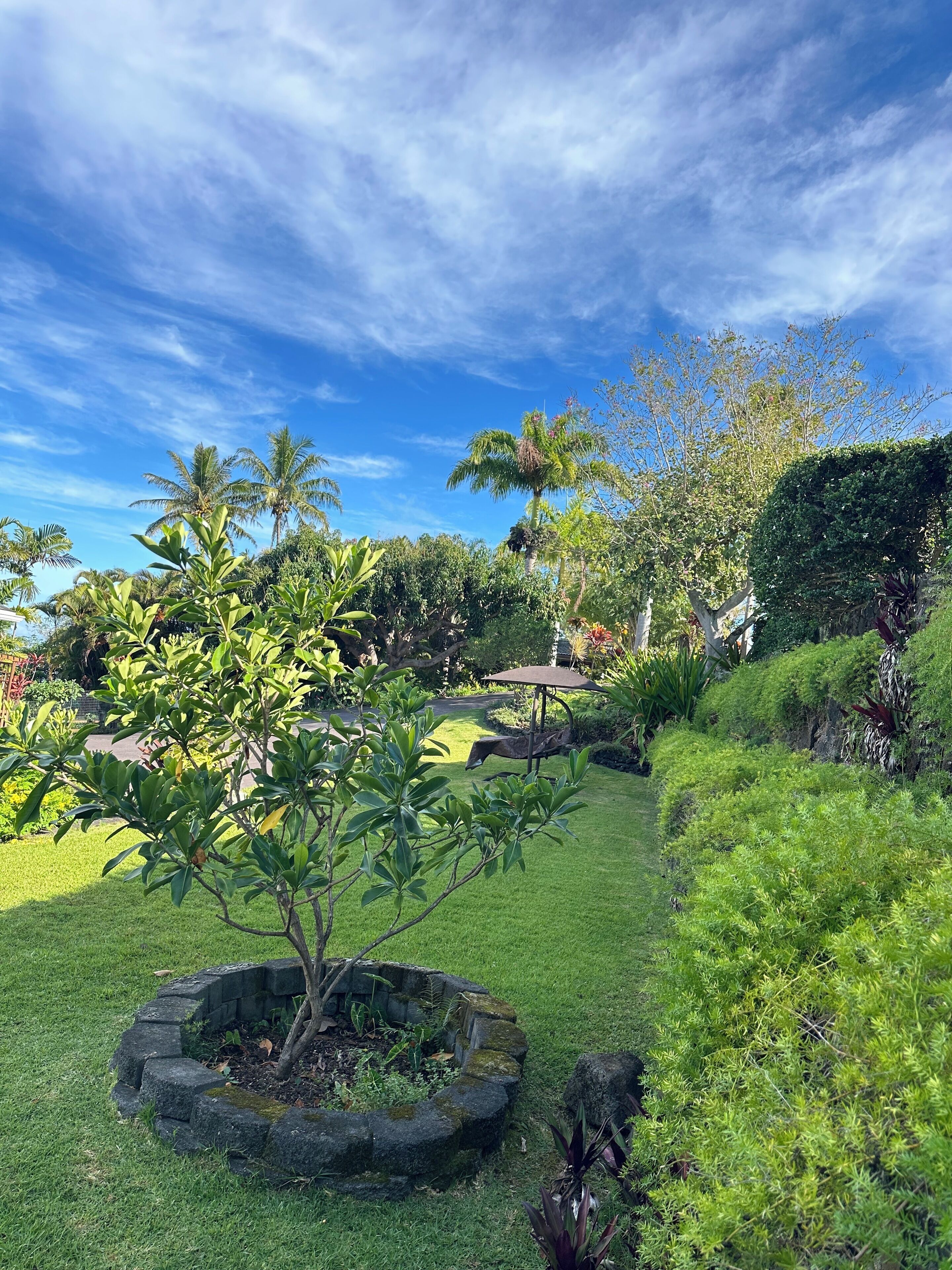 Jardines del alojamiento