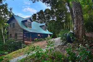 A log cabin with a metal roof, surrounded by dense forest and a gravel path.