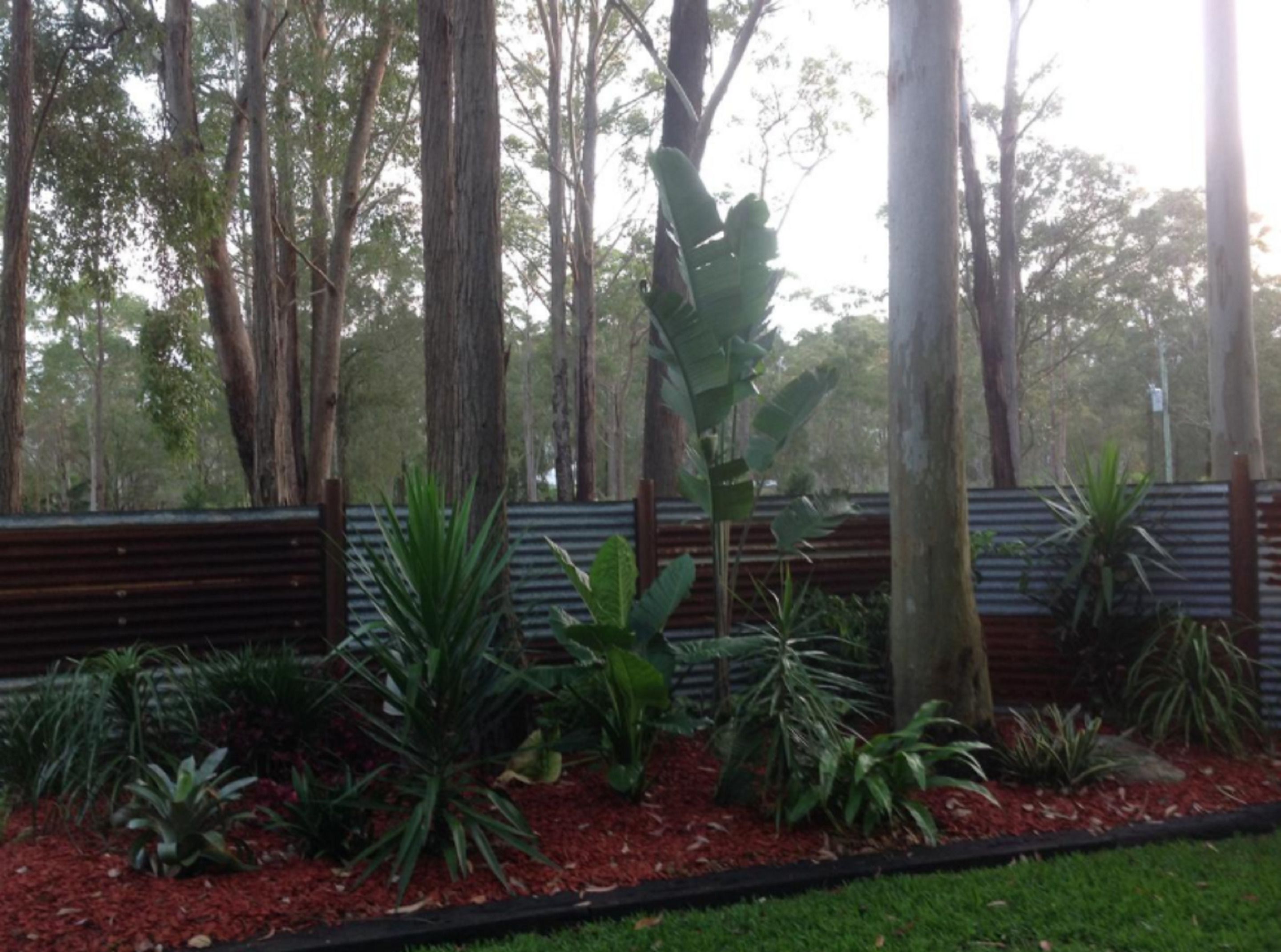 Un jardín ajardinado con diversas plantas y árboles, un banco de madera y una valla metálica.