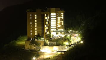 Front of property - evening/night