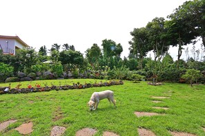 Puutarha