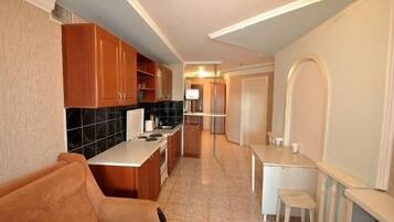 Apartment, 1 Schlafzimmer (81 Krasnoarmeyskiy Avenue) | Eigene Küche | Kühlschrank, Mikrowelle, Ofen, Herdplatte