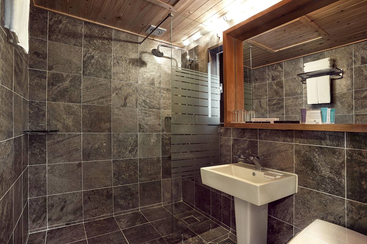 shower, hair dryer, bidet, towels