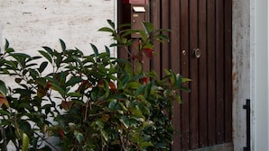 Uma porta marrom com uma caixa de correio e uma pequena planta na frente.