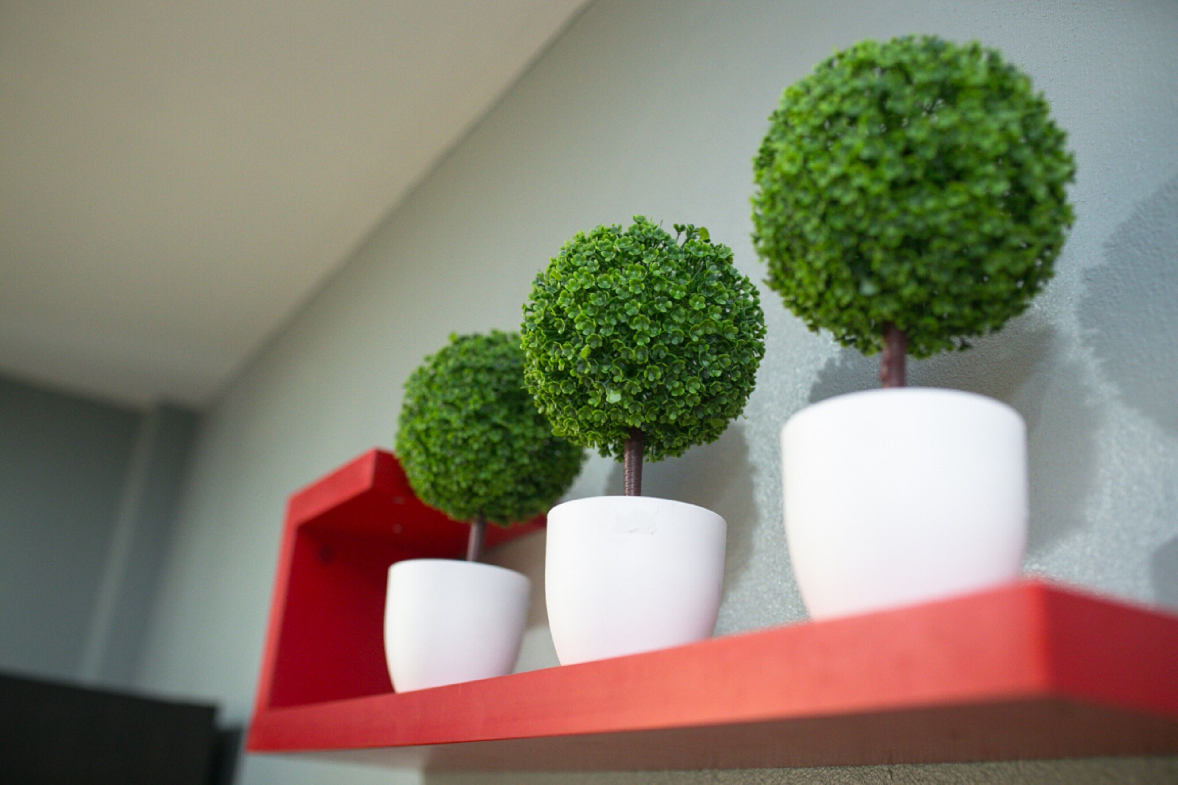 Three potted plants on a red shelf against a wall.