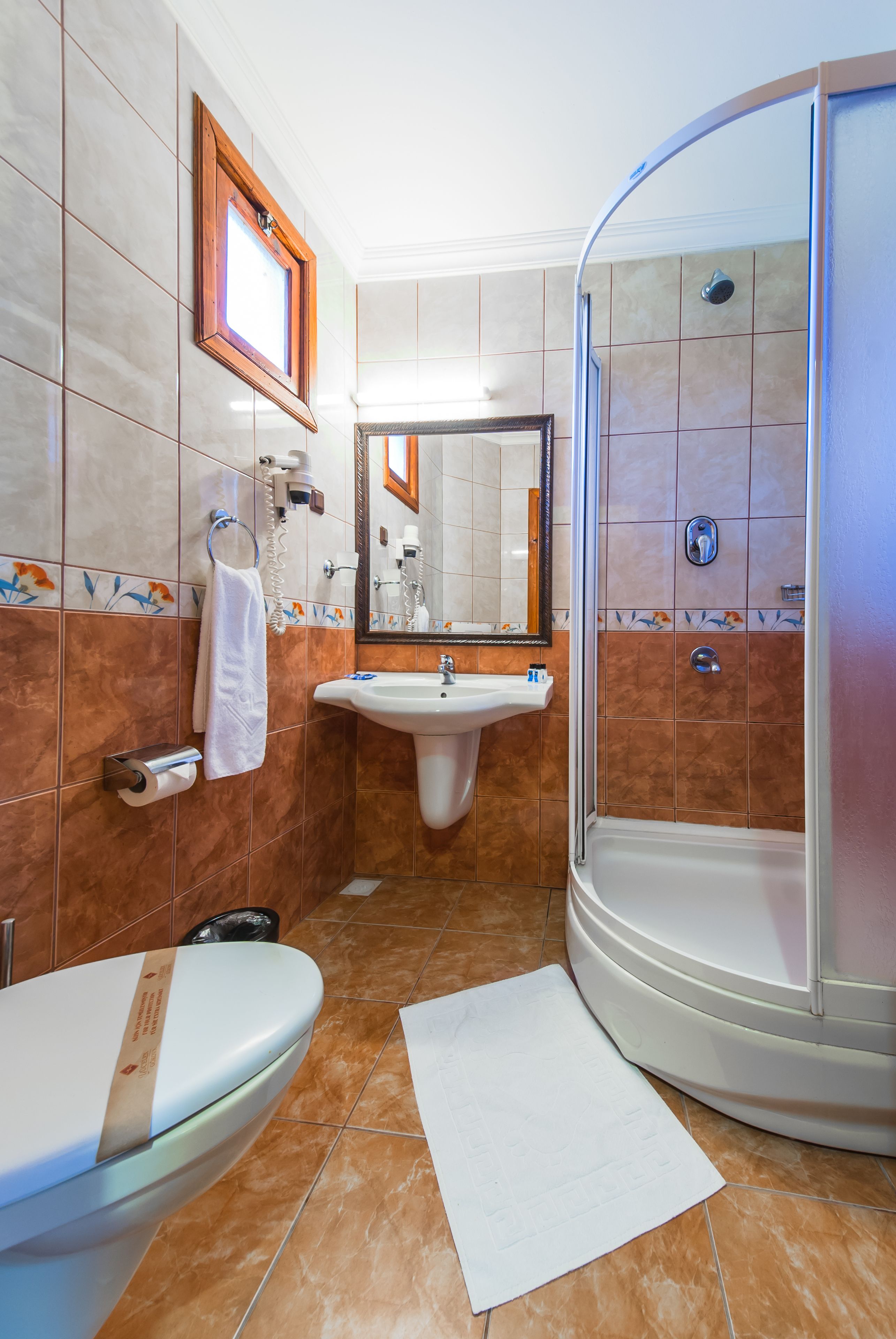 shower, free toiletries, hair dryer, slippers