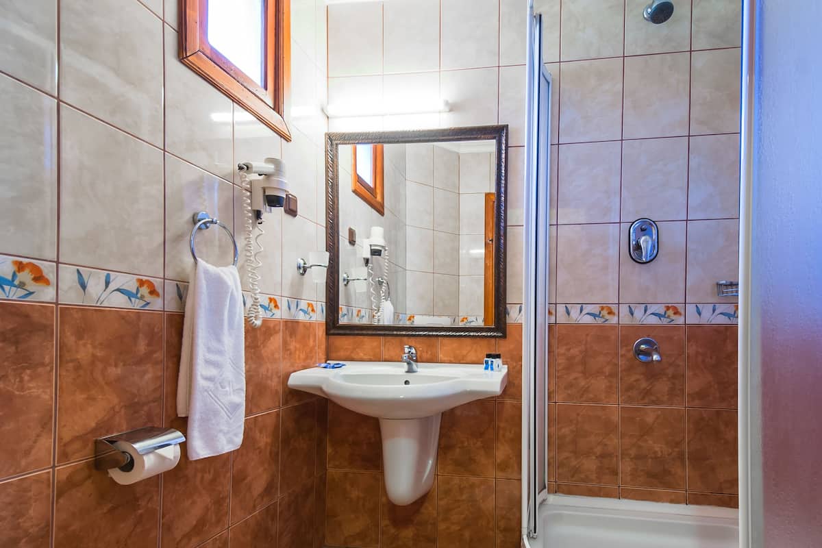 shower, free toiletries, hair dryer, slippers