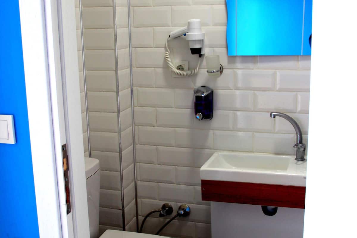 shower, free toiletries, hair dryer, slippers