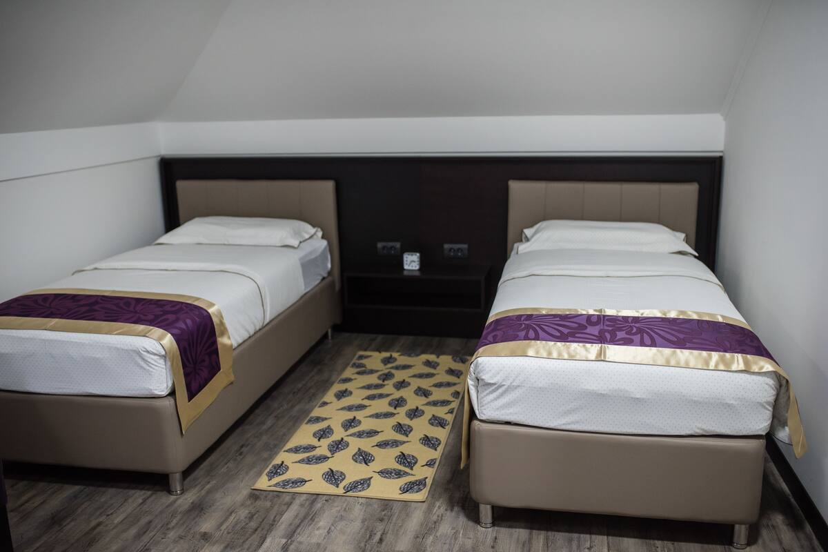 Habitación con 2 camas individuales | Ropa de cama de alta calidad, minibar, escritorio y insonorización