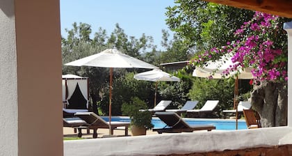Agroturismo Sa Vinya d'en Palerm
