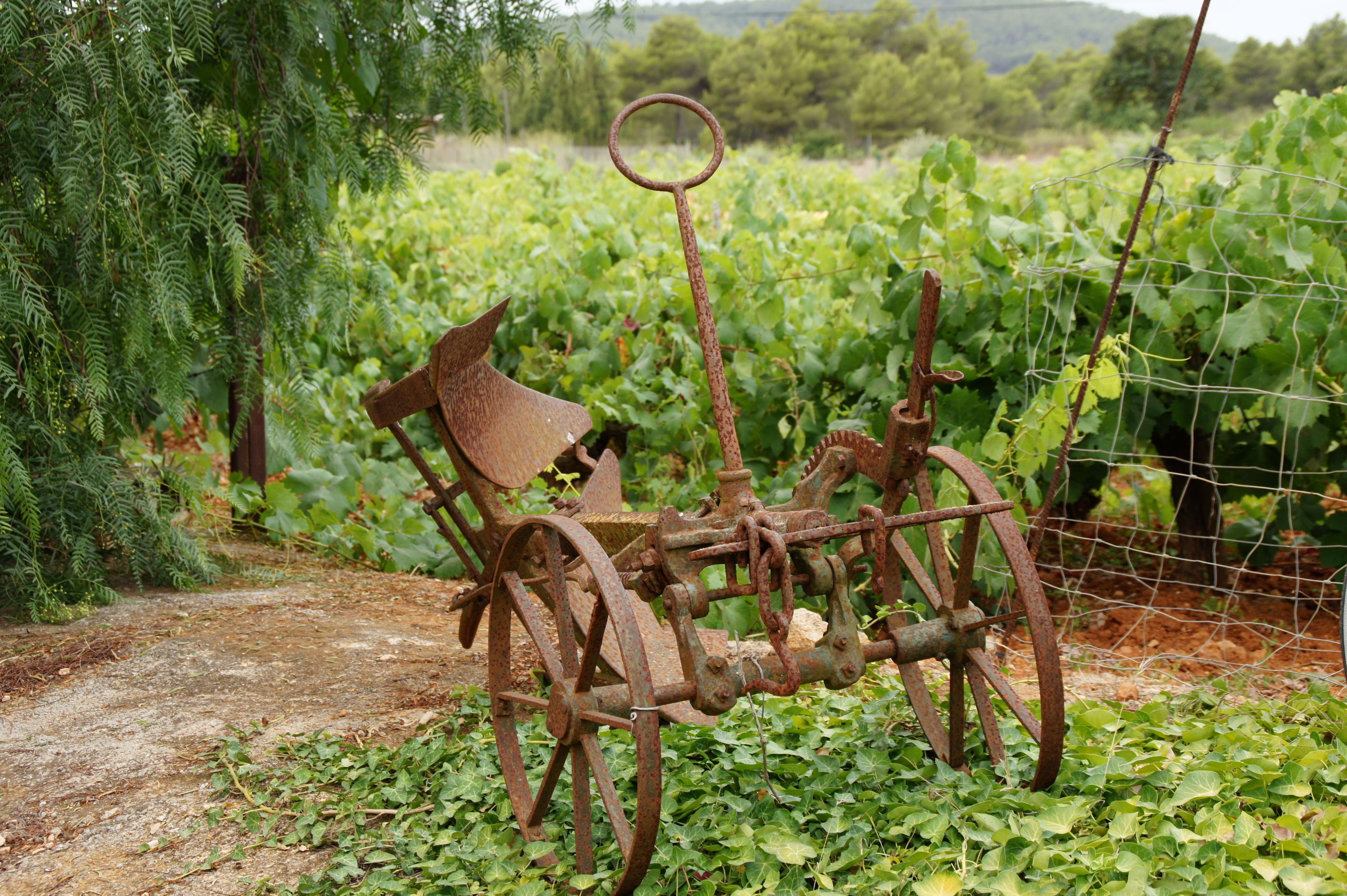 Photo - Agroturismo Sa Vinya d'en Palerm