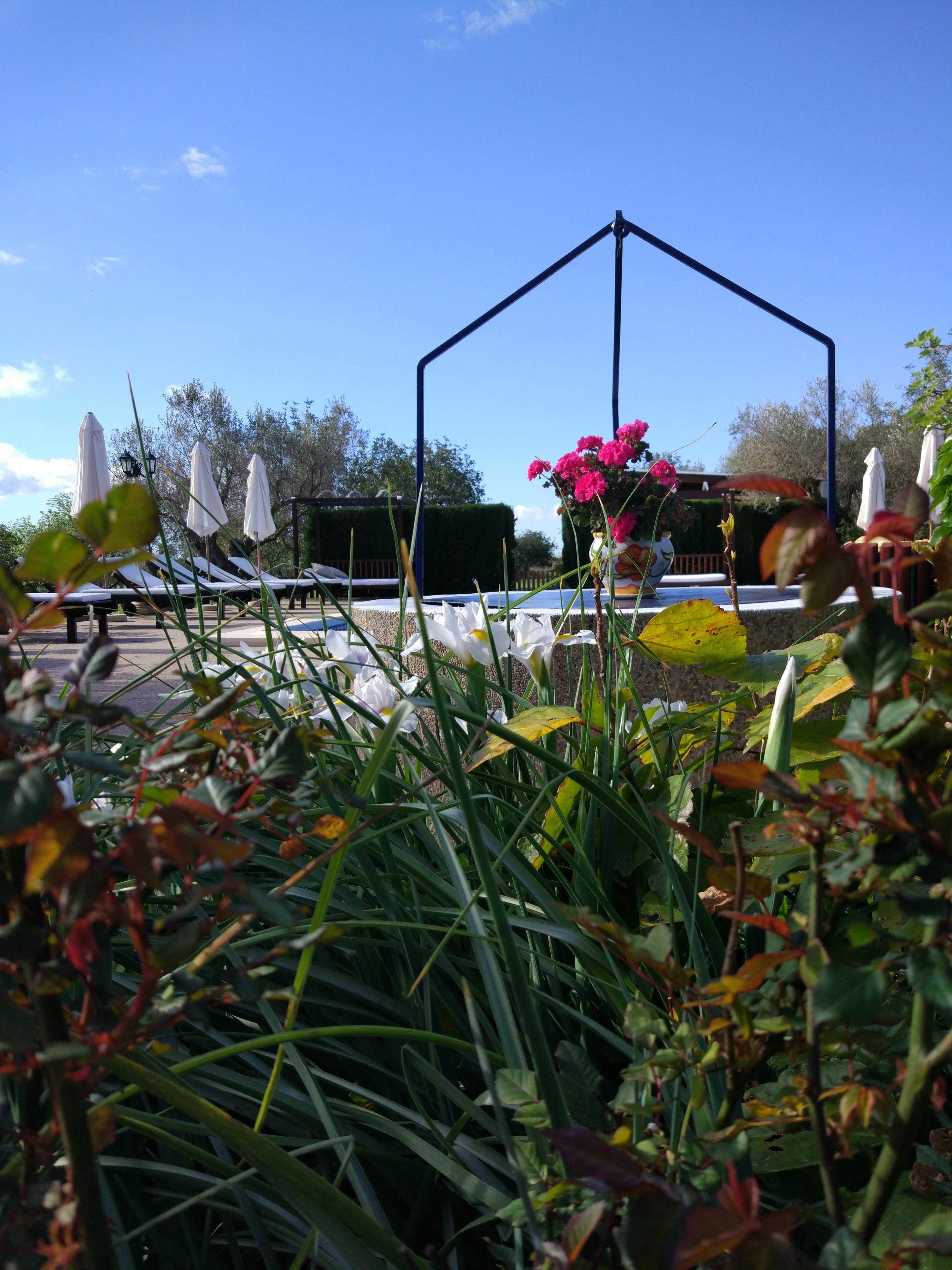 Photo - Agroturismo Sa Vinya d'en Palerm