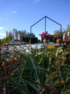 Garden - Agroturismo Sa Vinya d'en Palerm (Sant Joan de Labritja)
