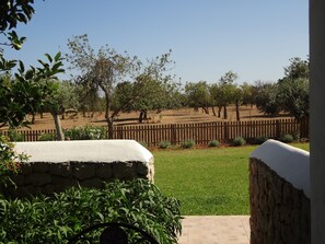 View from room - Agroturismo Sa Vinya d'en Palerm (Sant Joan de Labritja)