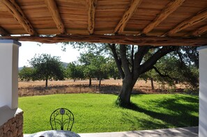 Porch - Agroturismo Sa Vinya d'en Palerm (Sant Joan de Labritja)