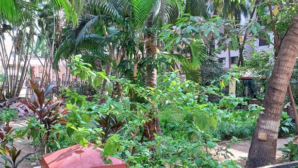 A lush garden with various plants and trees, a red planter box, and a metal fence. - Landmark Asia Serviced Apartments (Mumbai)