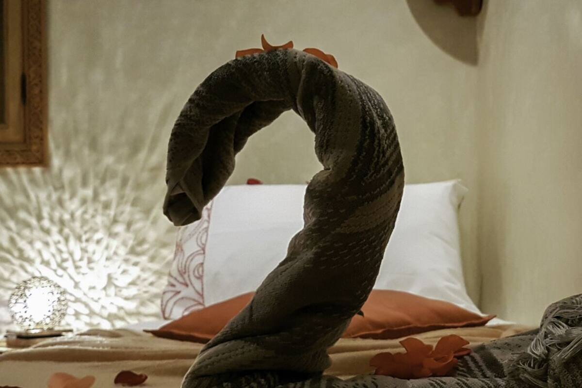 Una cama con un cabecero decorativo, una almohada blanca y un edredón con estampado de hojas.