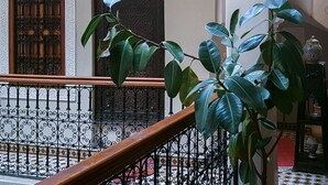 Una escalera con barandillas de metal negro ornamentado y una barandilla de madera.