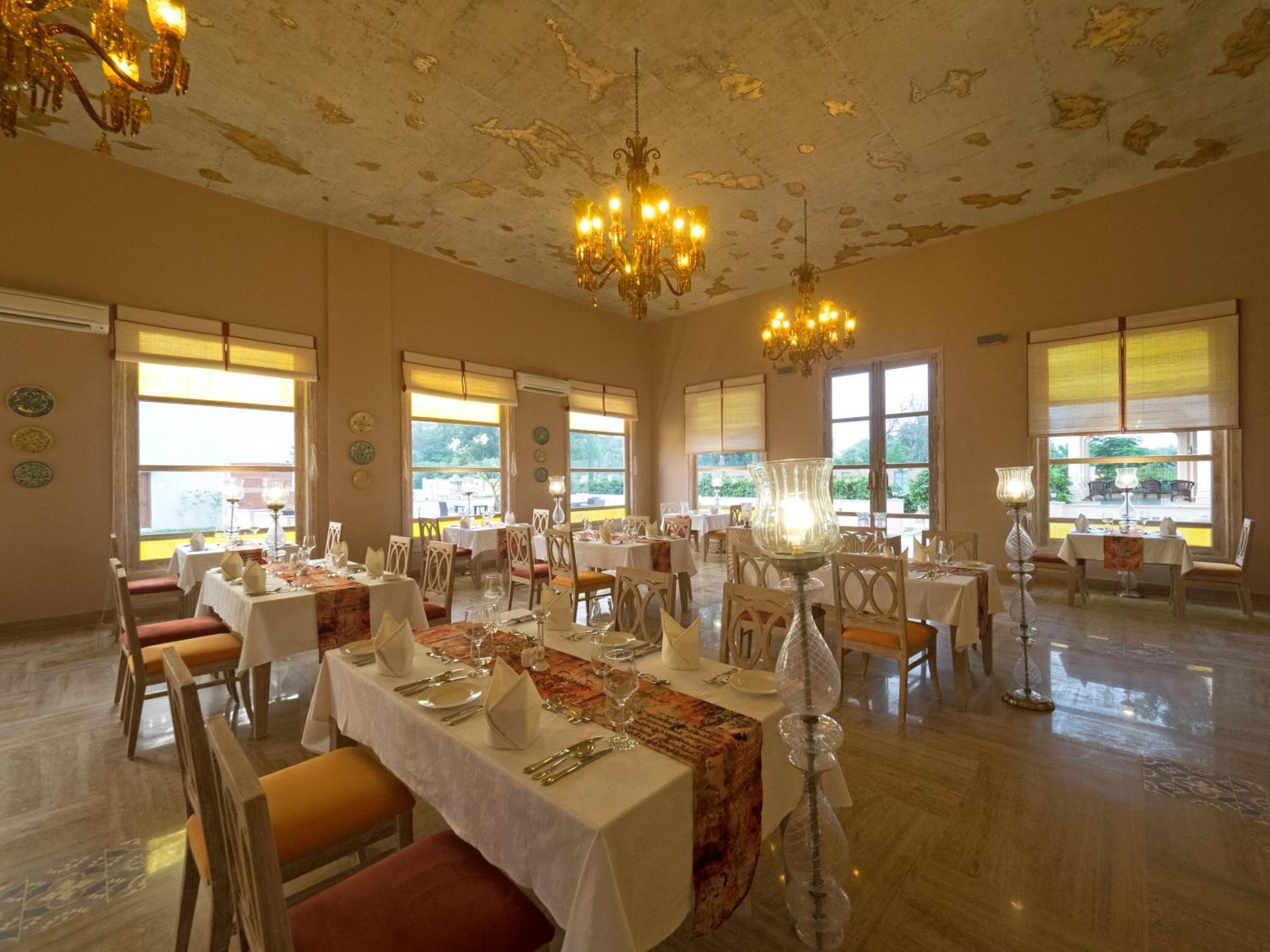 International cuisine, garden views 