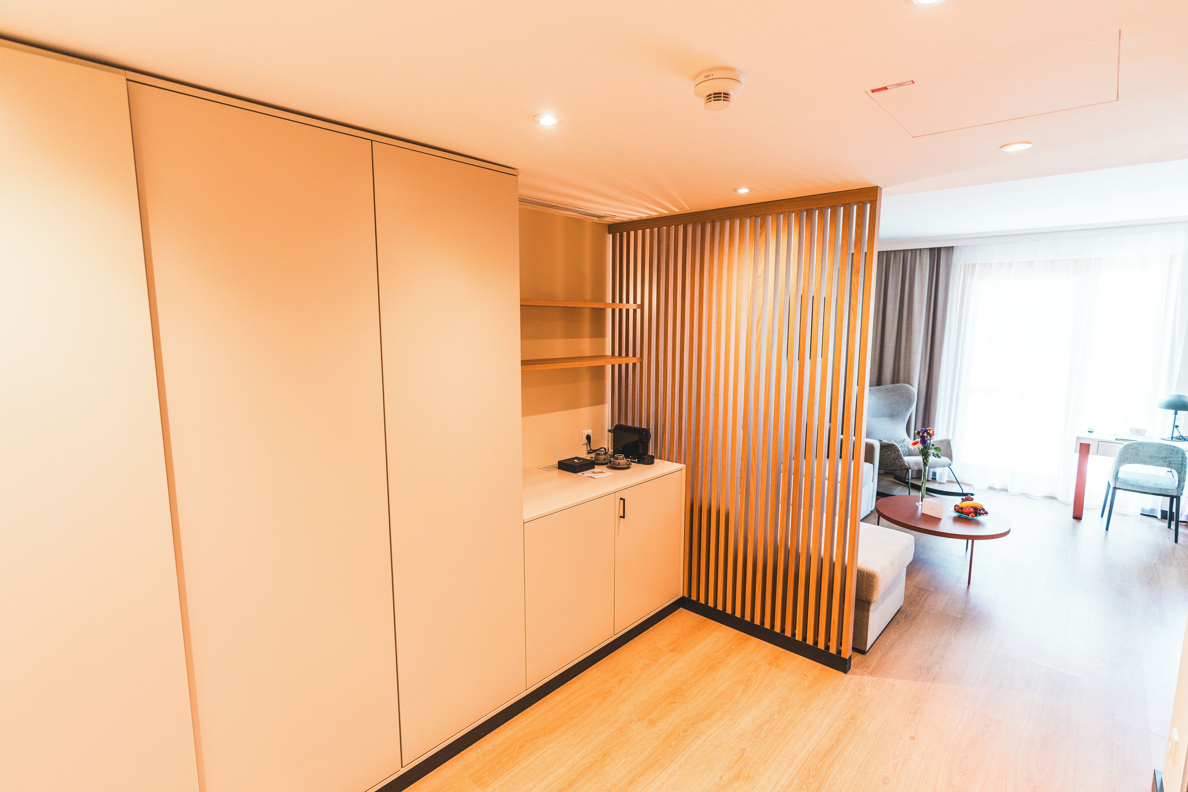 deluxe studio suite | living area | flat-screen tv, toys