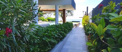 A pathway lined with lush greenery and a view of the sea.