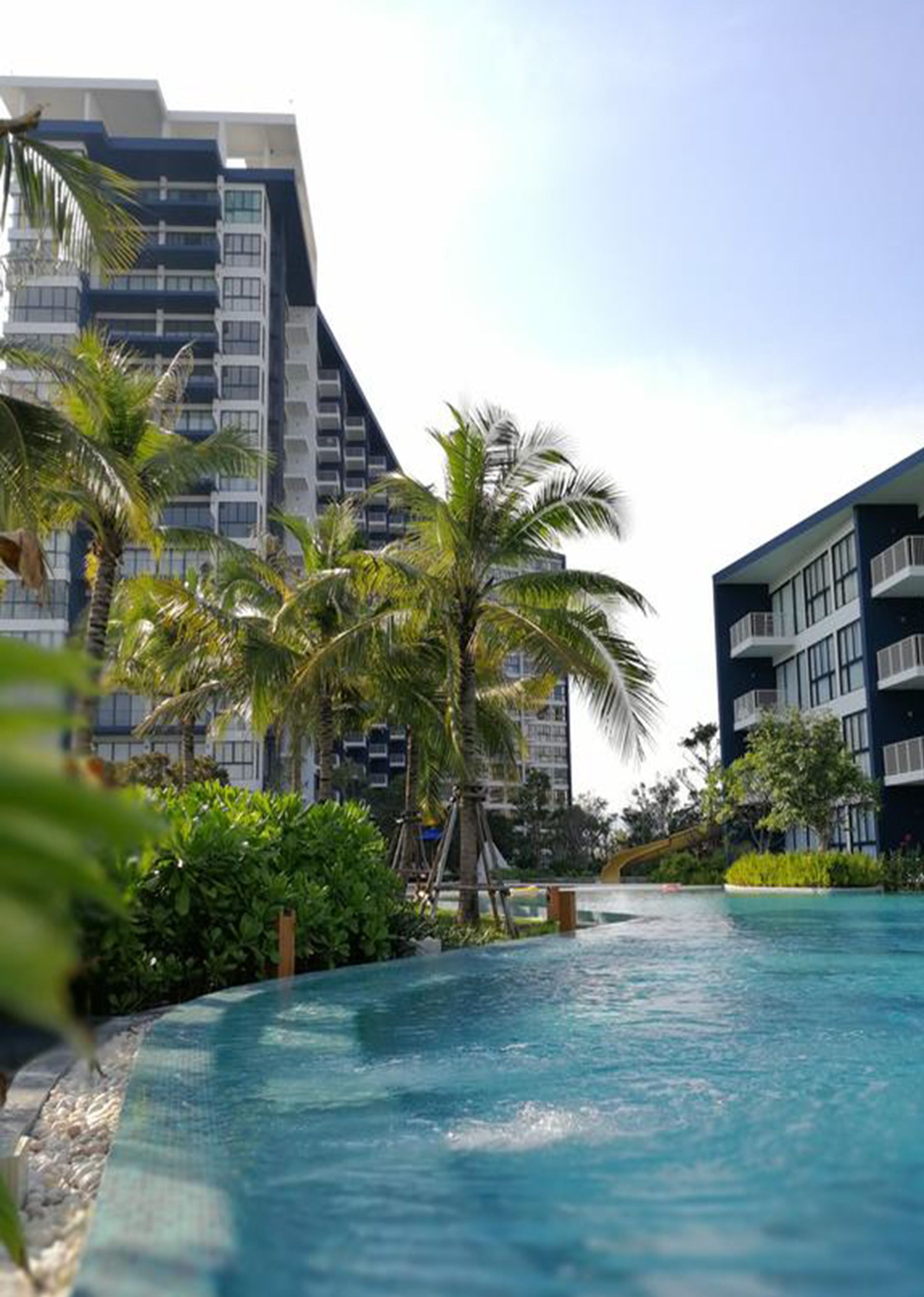 A pool area with palm trees and modern buildings in the background.