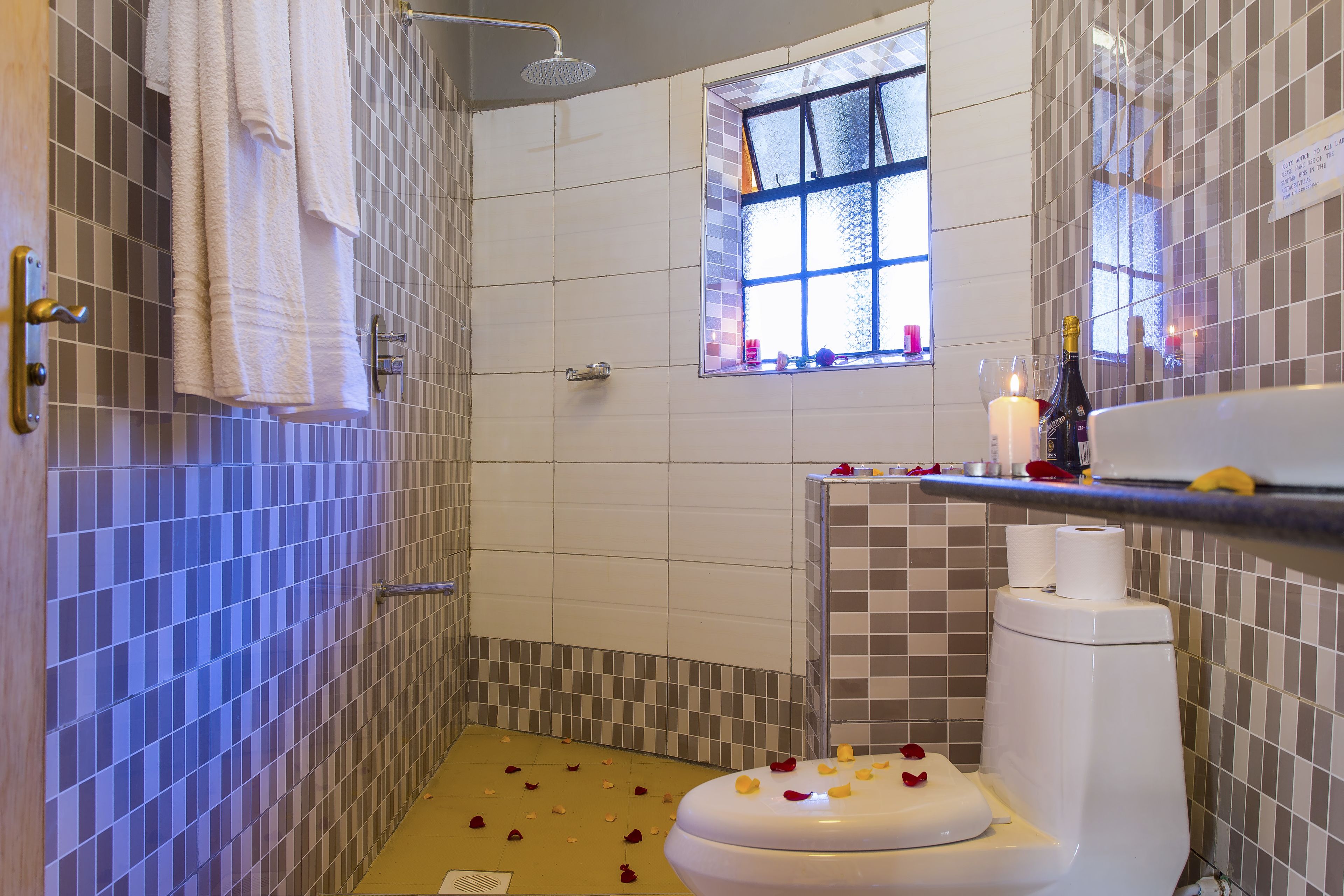 A bathroom with a shower, a toilet, and a window.
