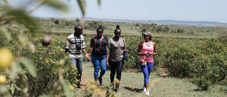 Four people walking in a field with sparse vegetation and distant hills.