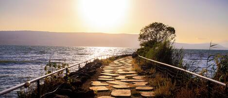 A stone pathway leading to a body of water with a railing on one side and a tree on the other.