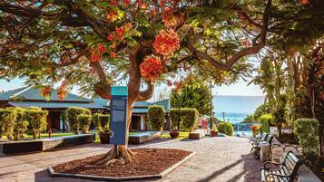 Stroll through the serene garden, surrounded by a majestic tree and a paved walkway leading to a peaceful seating area.