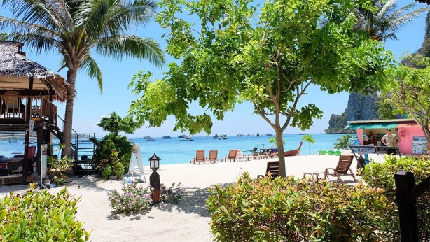 Un resort frente al mar con un edificio de techo de paja, palmeras y una vista despejada del océano.