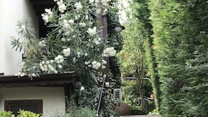 A staircase surrounded by lush greenery and white flowers, leading to a building with a wooden balcony and lattice design. - Dilek Konağı (Sapanca)