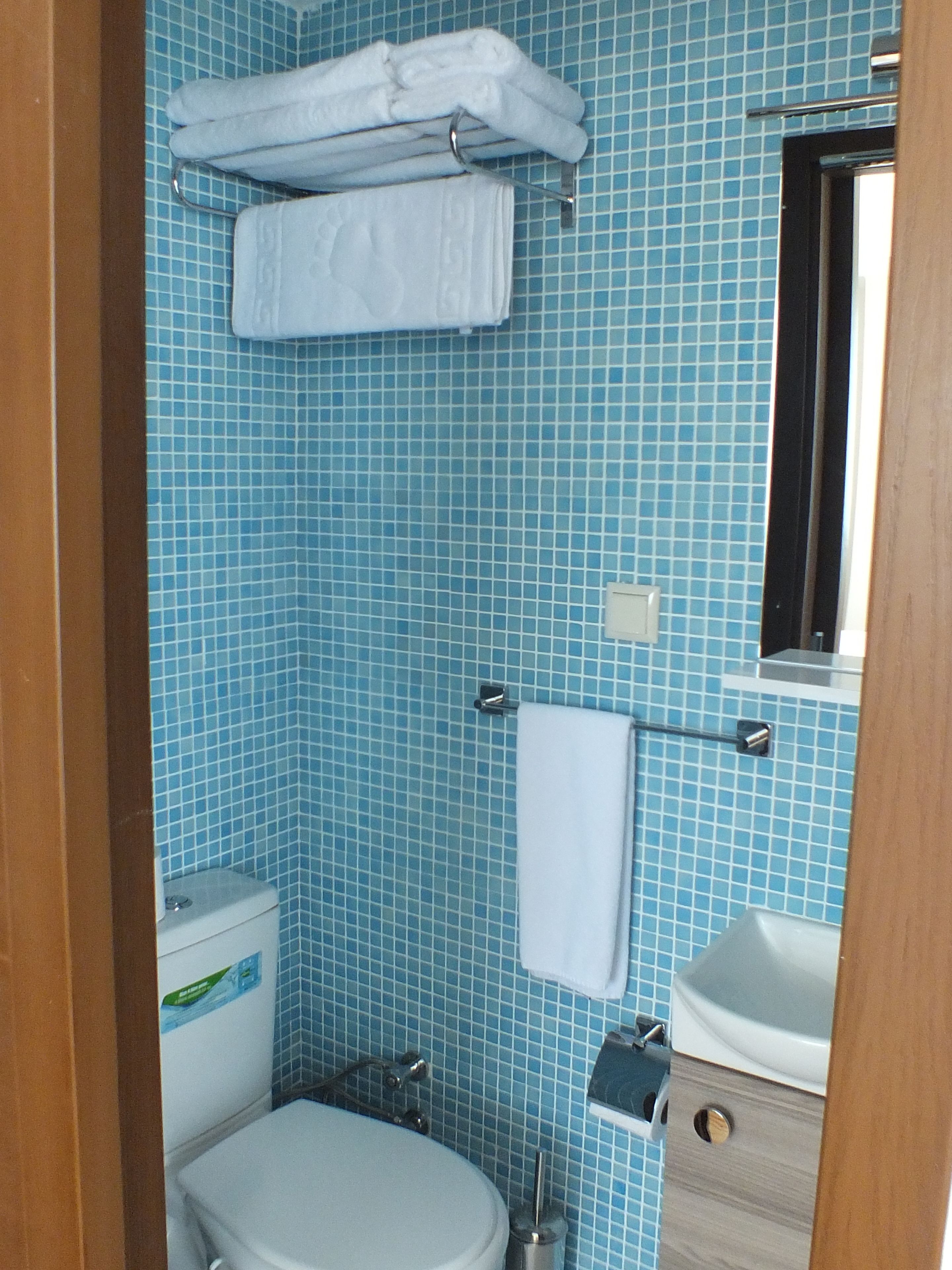 standard double or twin room | bathroom | shower, free toiletries, hair dryer, slippers