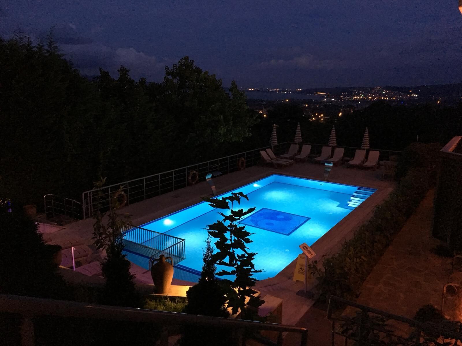 outdoor pool, pool loungers