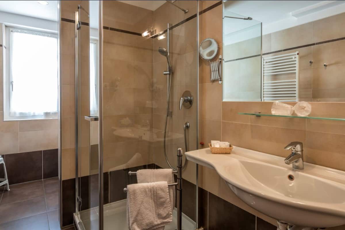 shower, free toiletries, hair dryer, bidet