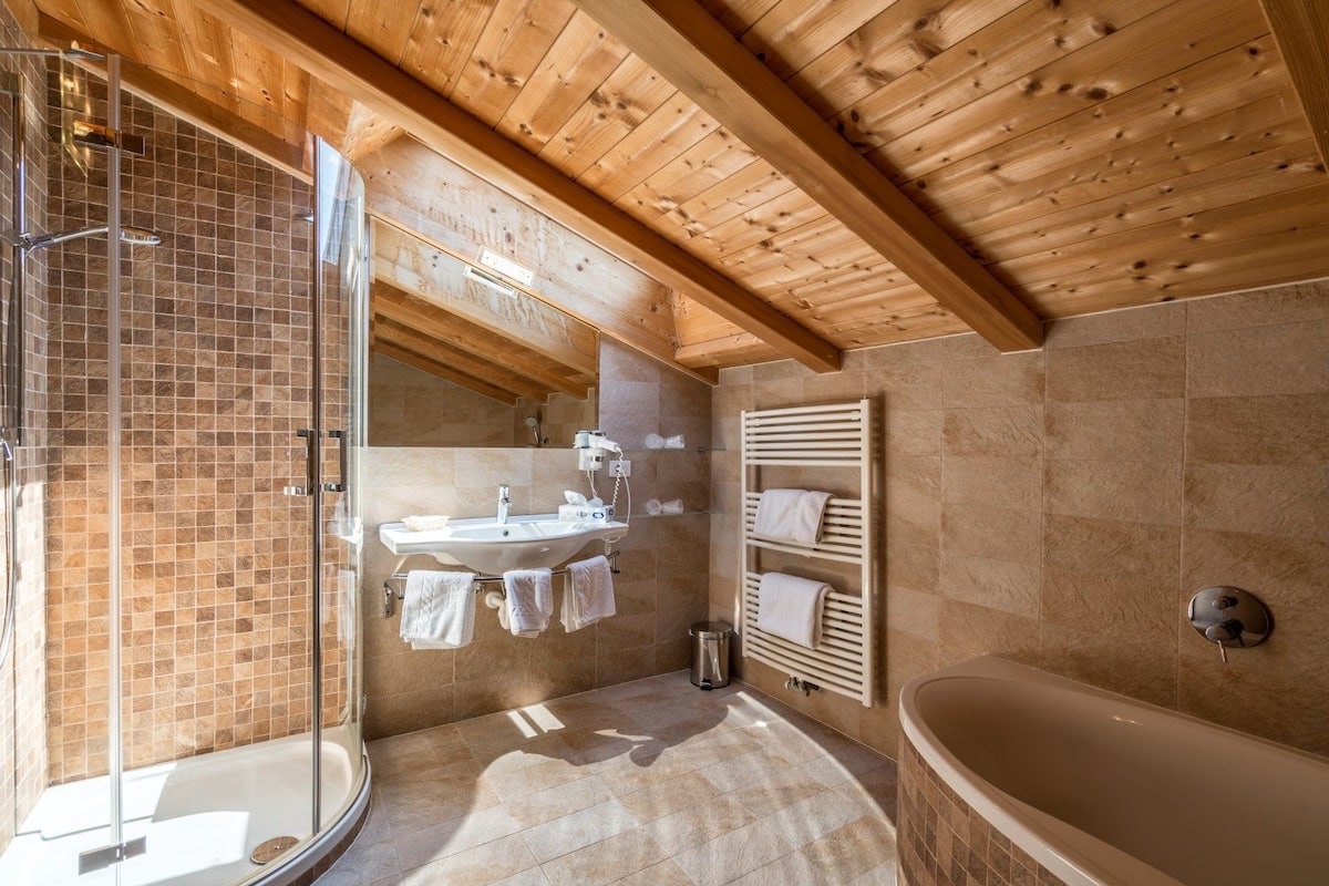 shower, free toiletries, hair dryer, bidet